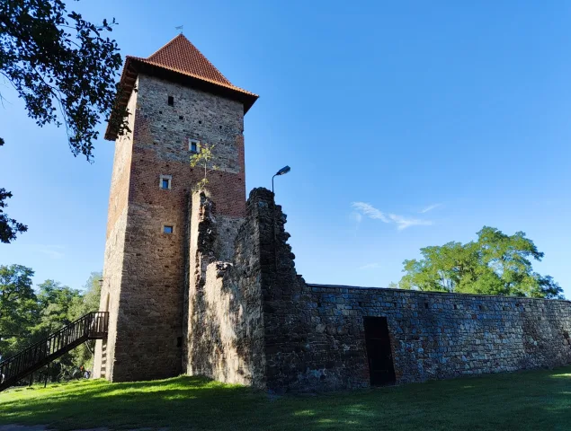 Zamek Chudów