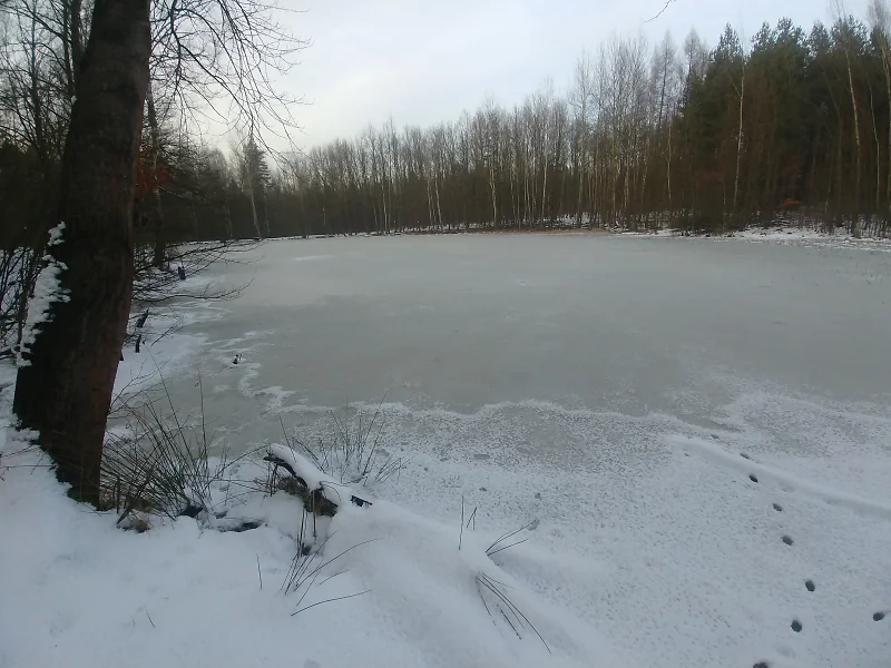 Zdjęcie miejsca Ślepiotka